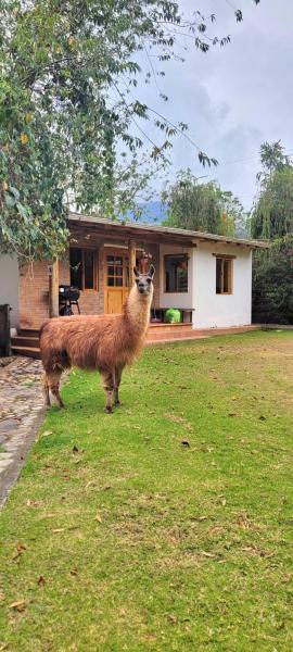 Minicasa Romántica al Pie del Volcán